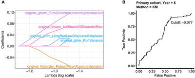 A Metabolism-Related Radiomics Signature for Predicting the Prognosis of Colorectal Cancer